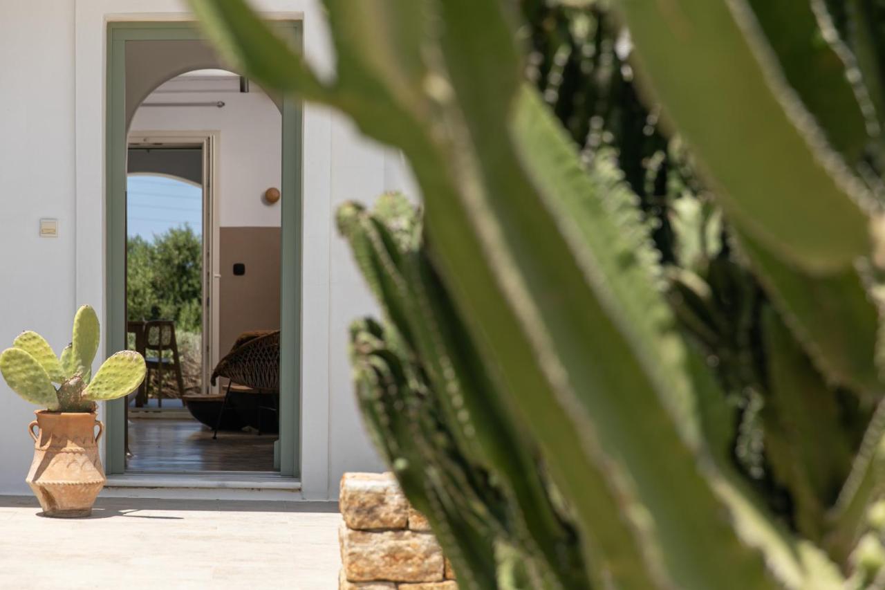 Naxos Euphoria Suites Stelida  Exteriör bild